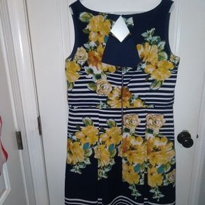 16w women's floral dress from Dress Barn